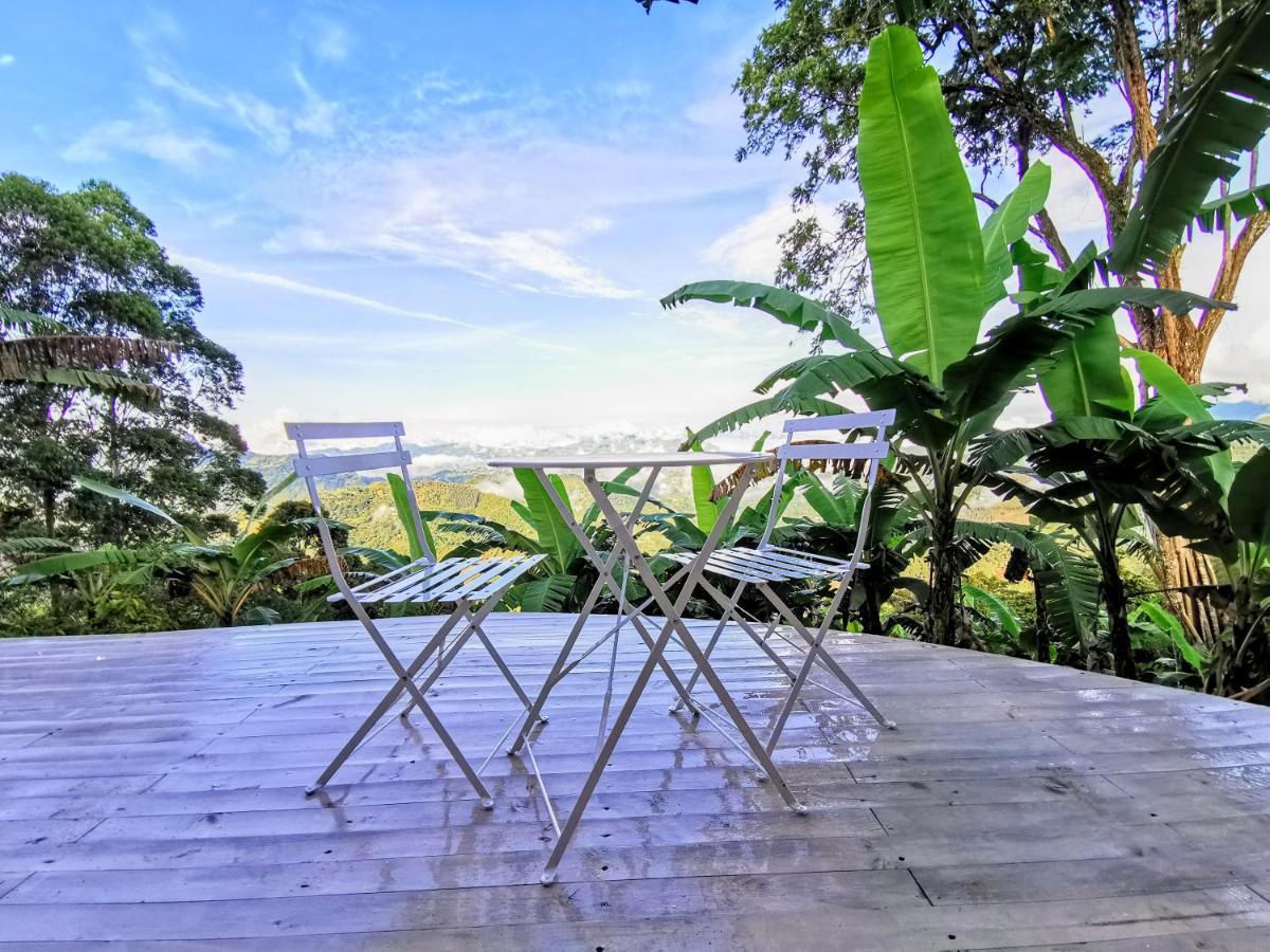 Bajo El Cielo Glamping San Francisco Hotell San Francisco  Exteriör bild